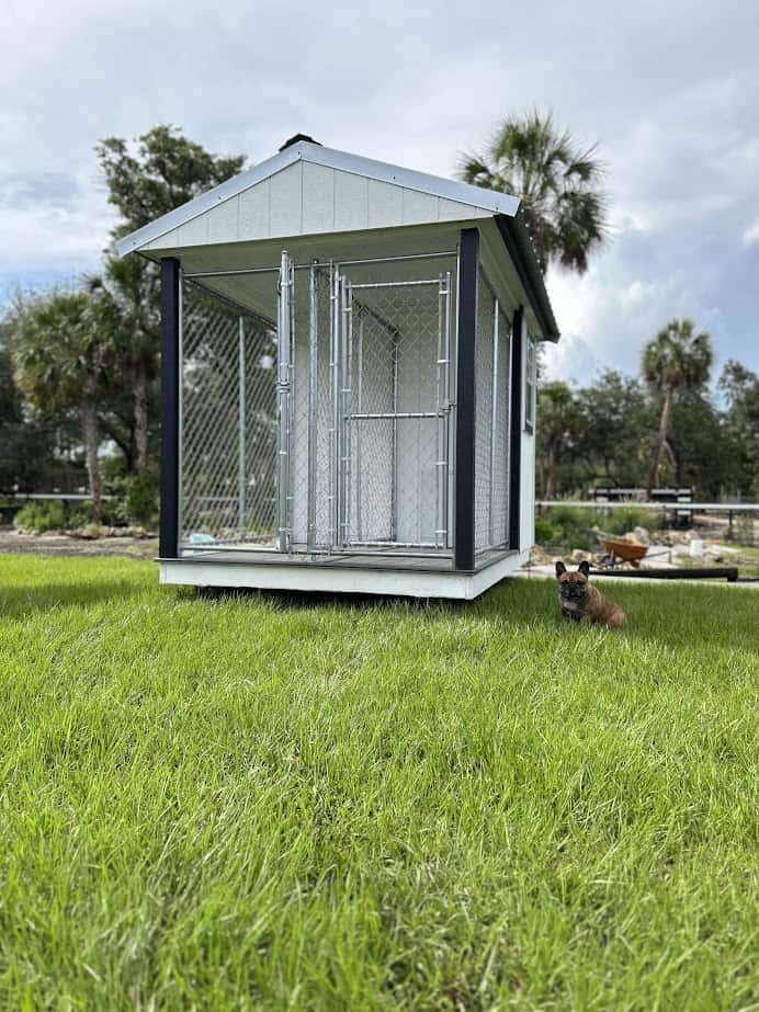 Dog house kennels outlet for sale